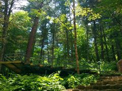 -五营红松林海景区