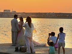 -宝安西湾红树林湿地公园