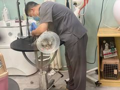 -中农大我爱我爱动物医院·核磁CT·猫病·24小时夜诊中心(石佛营店)