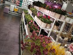 -KKV(重庆东原悦荟主力店)