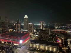 -新加坡瑞士史丹福酒店