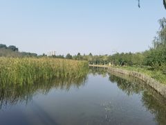 -张家湾公园