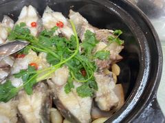 -台山美食一绝阿四台山黄鳝饭(阿四创作店)