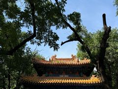 -北京国子监胡同