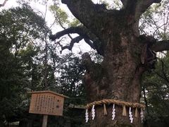 -热田神宫