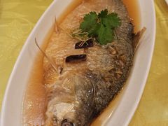 蒸鲥鱼-无名居(西直门总店)