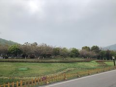 -习家池