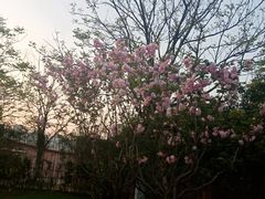 -艾溪湖湿地公园