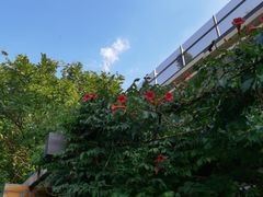 -老北京风情街