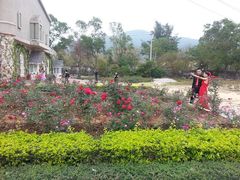 景点-玫瑰海岸文化旅游度假区