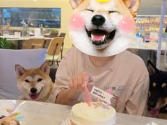 -慕境Moment Space·Fresh(33小镇店)
