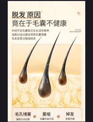 -Bollins波林丝•专研护发中心