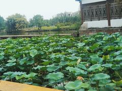 -柯岩风景区