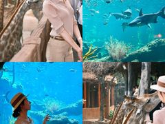 -长鹿旅游休博园