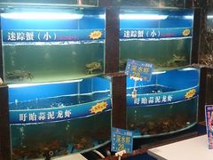 -张家砂锅(桐乡濮院宏苑路店)