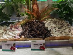 -亚马逊海鲜自助(梅溪湖步步高店)