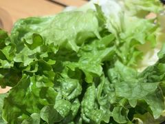 -玫瑰花园自助烤肉(顺义鑫海韵通店)