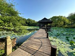 -兰亭风景区