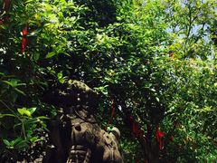 -金堂县云顶石城风景区