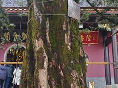 -岳麓山风景名胜区