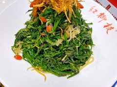 红柳枝凉菜第一道-红柳枝滩羊烧烤·银川非遗