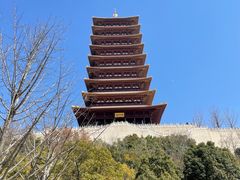 -牛首山文化旅游区