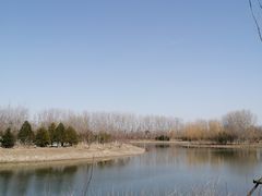 -东郊湿地公园