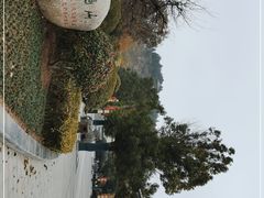 -徐州龟山景区