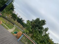 -琅岐红光湖公园