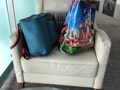 -虹桥机场国航贵宾室v8