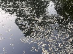 -山东宾馆·齐鲁苑餐厅