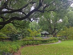 -申粤轩酒楼·三十年粤菜经典(丁香花园店)