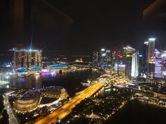 -新加坡瑞士史丹福酒店