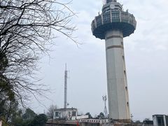 -MAMACHA妈妈茶(岳麓山店)