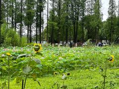 -百翠山居.家飨餐厅