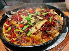 -老板恋上鱼(振华商厦店)