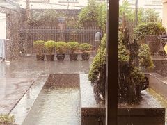 -辉哥火锅(虹桥路店)