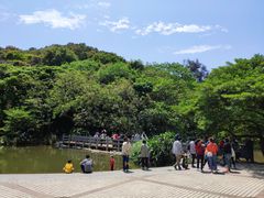 -云溪植物园