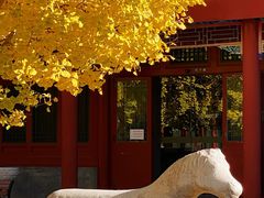 -北京石刻艺术博物馆(五塔寺)