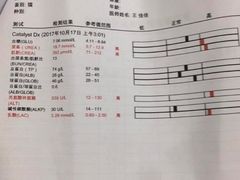 -北京观赏动物医院·24小时大型综合·猫专科·异宠专科