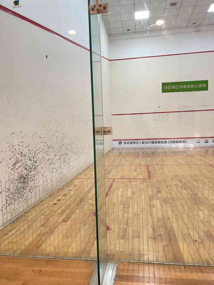 武汉51壁球中心(汉阳店)-"最近下雨不太方便带娃去户外玩想找个室内.