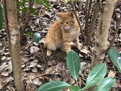-浙江万里学院(钱湖校区)