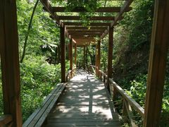 -大岭沟猕猴桃谷风景区