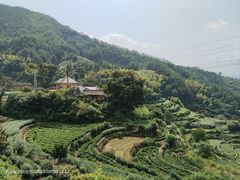 -杨家堂村