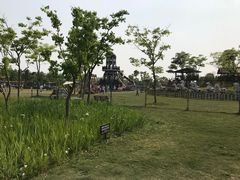 -上海长兴岛郊野公园