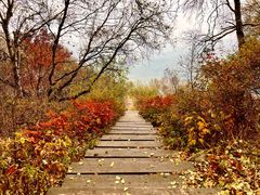 -白草畔自然风景区