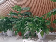 -芝士农场·意式餐厅(生态城万达店)