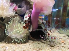 -太平洋海底世界