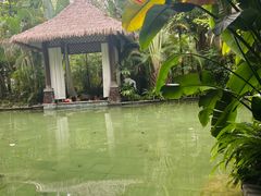 -碧桂园润杨溪谷温泉酒店