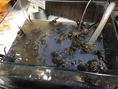 -九寸花汀(摩天活力城店)